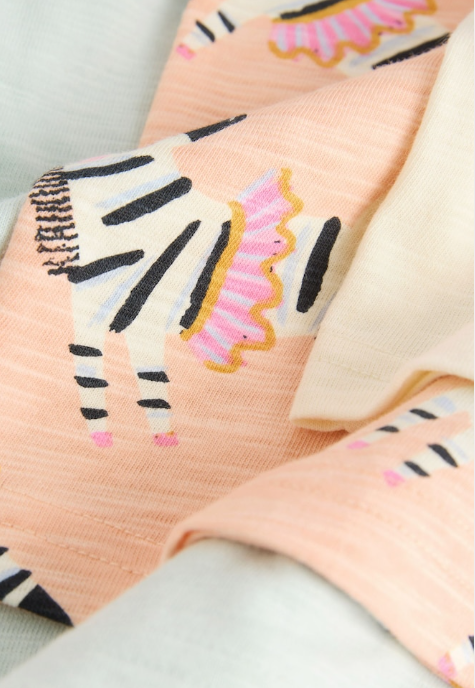 Next Zebra Print Shirt & Shorts Set