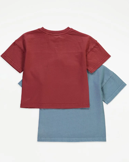 George Washed Exposed Seam Pack Of 2 T-Shirts