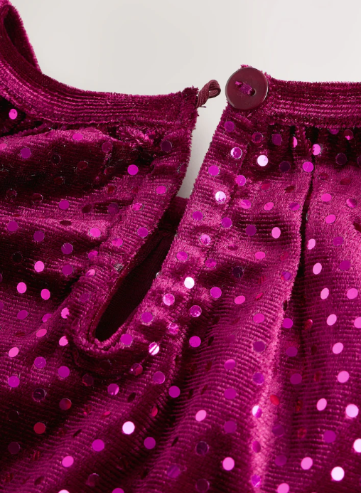 Next Velour Dress