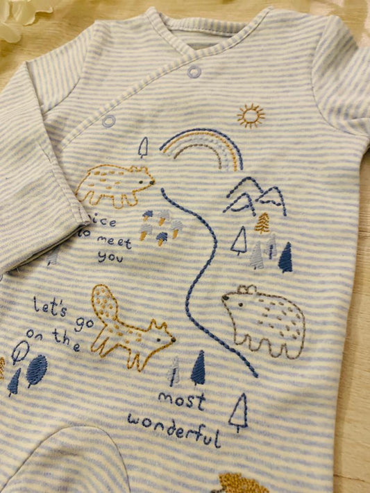 George Embroidered Sleepsuit