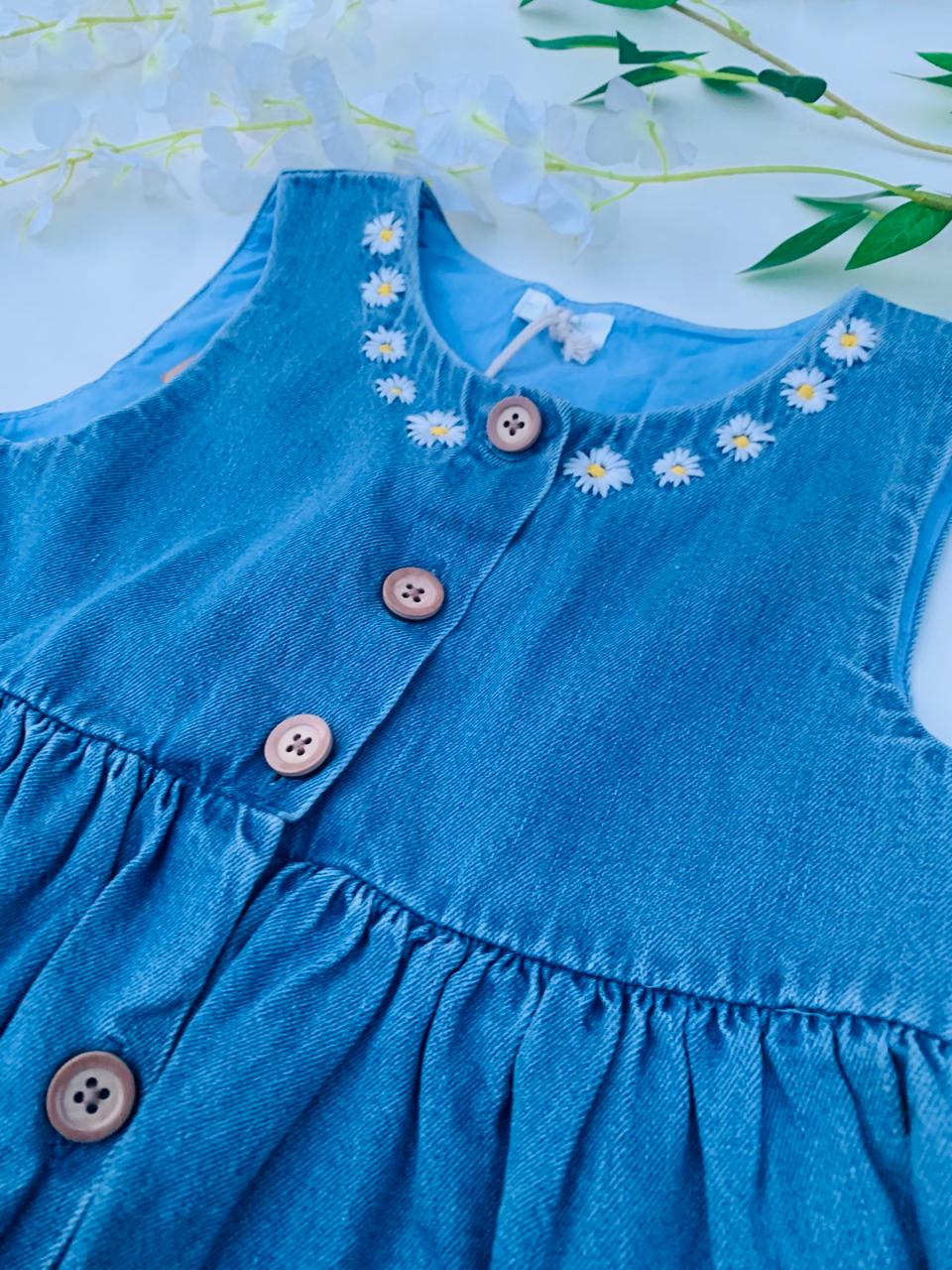 Next Denim Frock