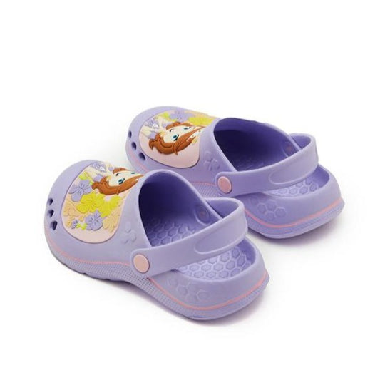 R&B Sofia Theme Crocs