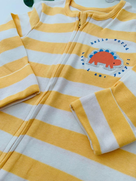 George Embroided Dino Sleepsuit