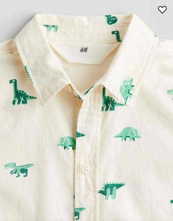 H&M Dino Shirt