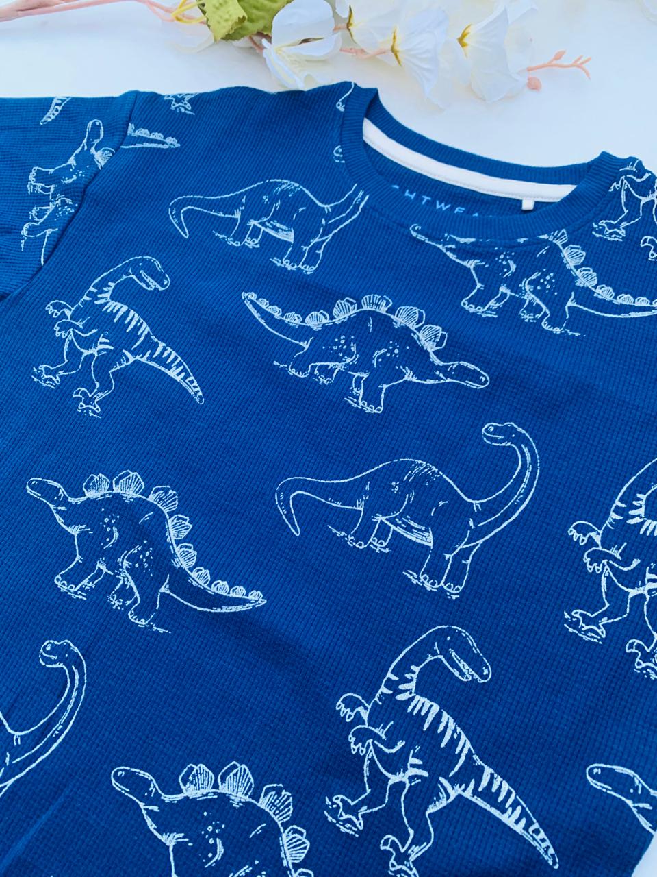 Next Ribbed Dino Shirt & Short