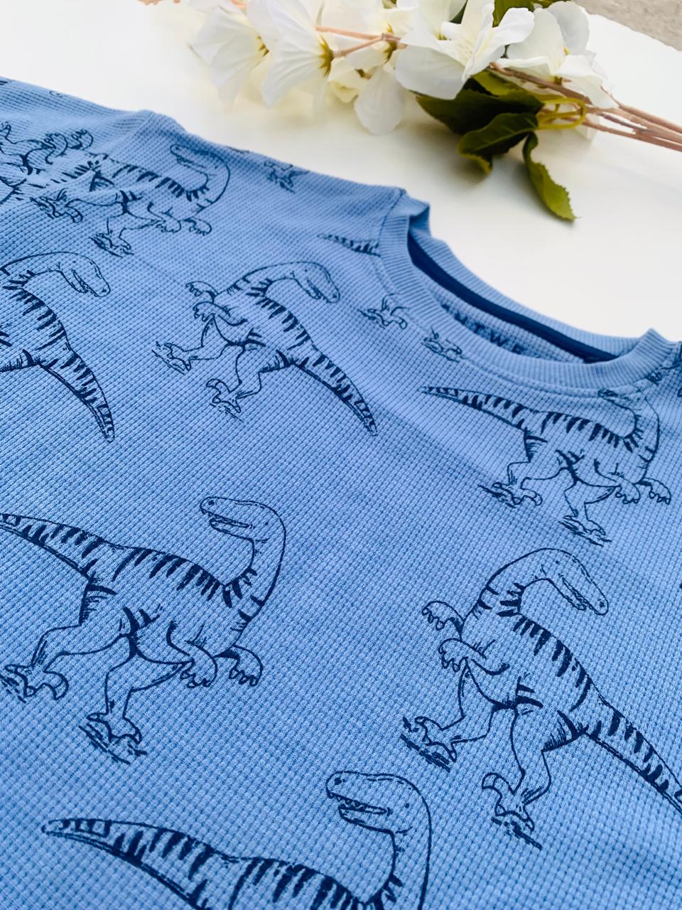 Next Dino Shirt & Shorts Set