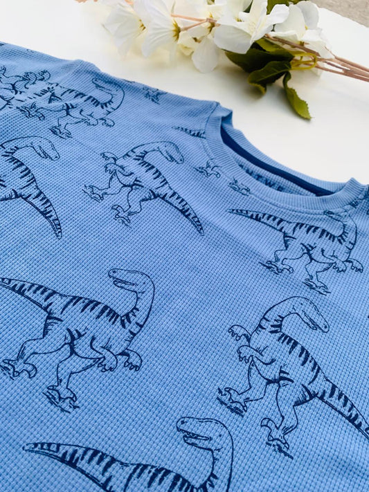 Next Dino Shirt & Shorts Set