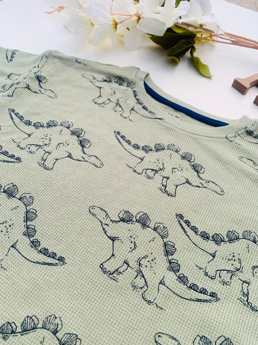 Next Dino Shirt & Shorts Set