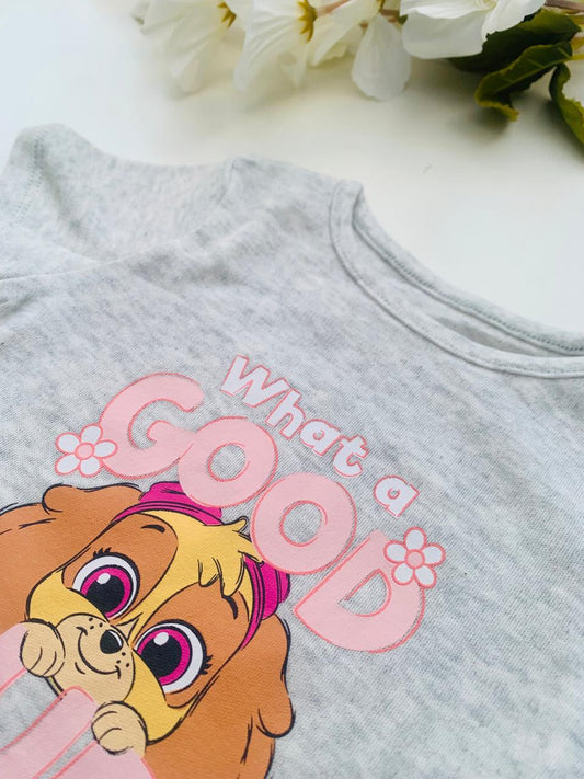 George Paw Patrol Shirt & Shorts Set