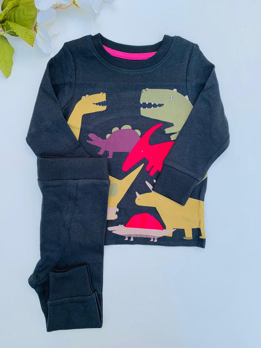 Next Dinosaurs Shirt & Trouser Set