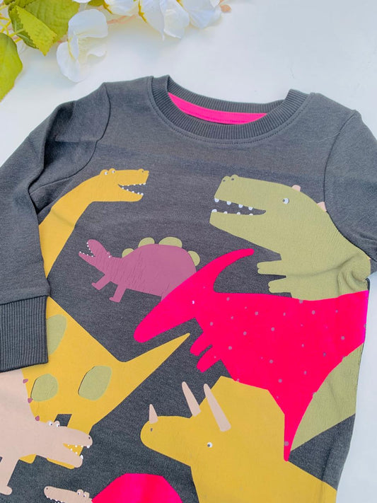 Next Dinosaurs Shirt & Trouser Set