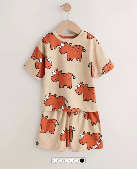Next Shirt & Shorts Set
