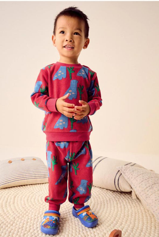 Next Dino Sweatshirt & Trouser Set