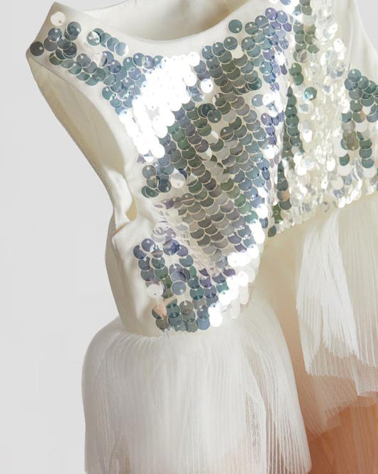 H&M Sparkly Top Frill Dress