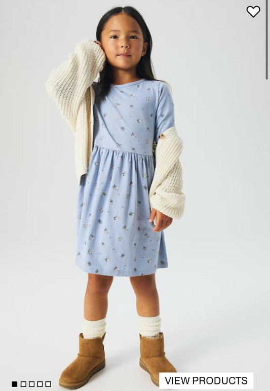 H&M Floral Frock