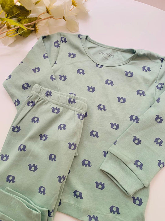 Juniors Elephant Print Shirt and Trouser Set