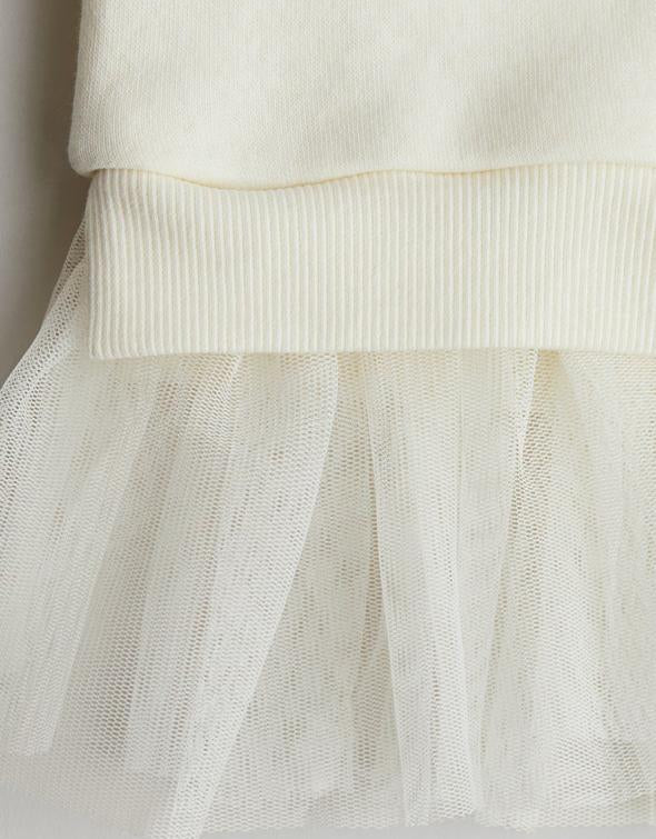 H&M Fleece Lined Sweatshirt Dress