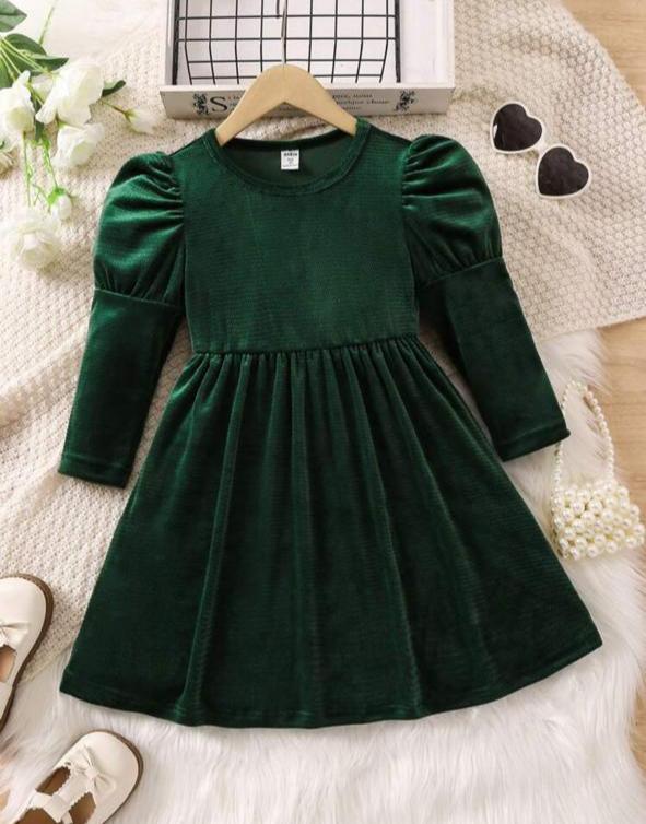 SHEIN Velour Formal Frock