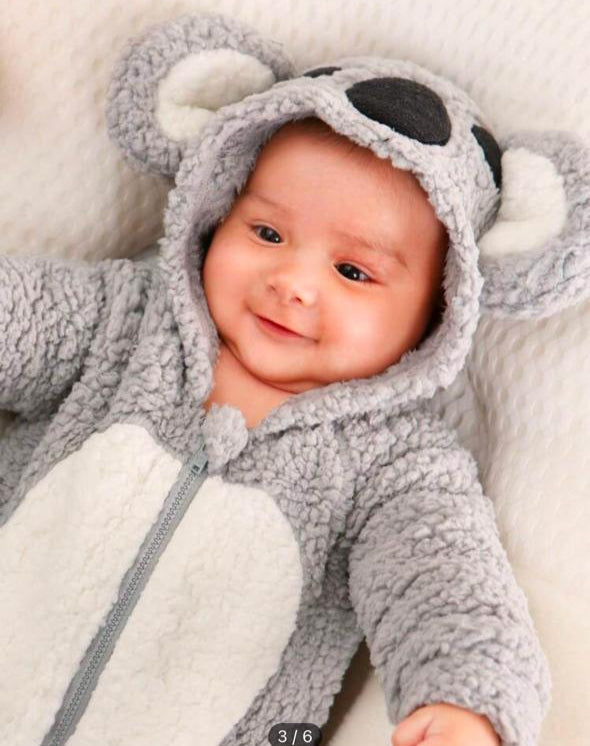 SHEIN Sherpa Koala Zipped Pramsuit