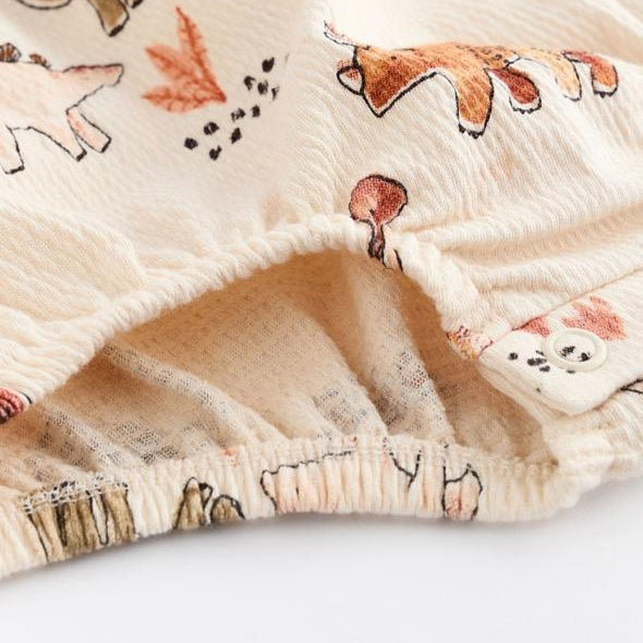 Next Pack of 2 Dino Rompers
