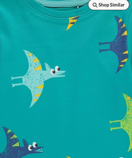 George Pteranodon Dinosaurs Shirt & Trouser Set
