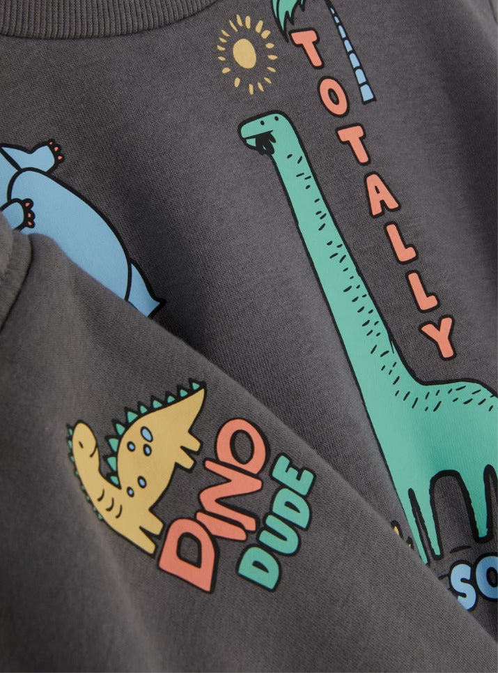 Primark Dino Sweatshirt & Trouser Set