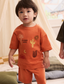 Next "Desert Day" Shirt & Shorts Set