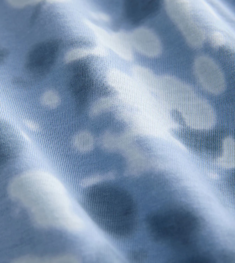 Next "Bluey" Shirt & Shorts Set