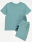 George Dinosaur Spike Shirt & Shorts Set
