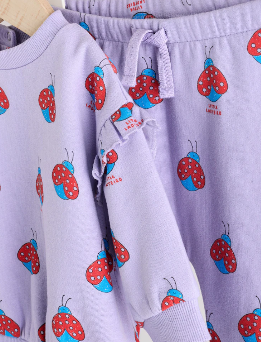 Next Ladybug Sweat Shirt and Trouser Set