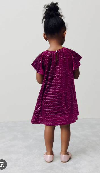 Next Velour Dress