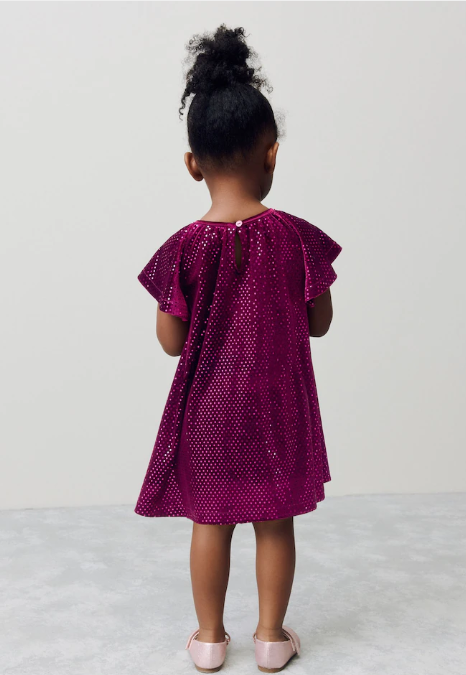 Next Velour Dress