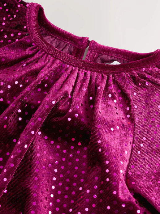 Next Velour Dress