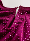 Next Velour Dress