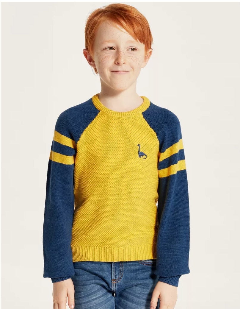 Juniors  Dino Knitted Sweater