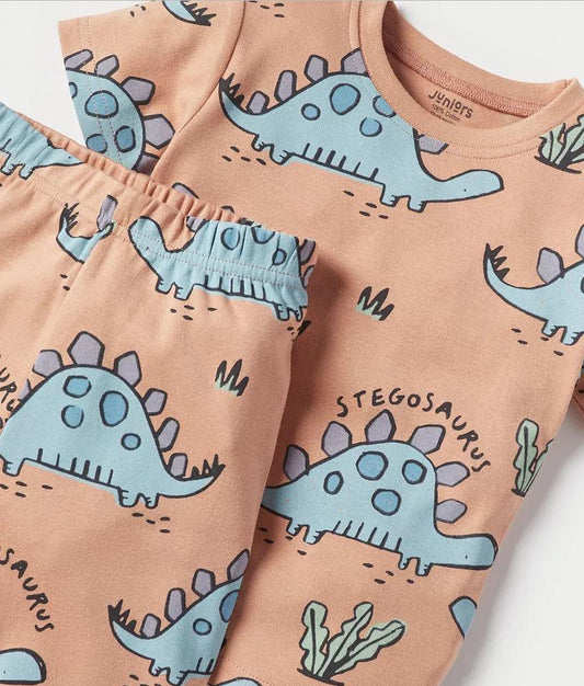 Juniors Shirt & Trouser Set