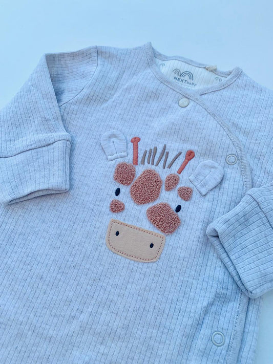 Next Appliquéd Sleepsuit