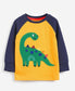 Next Appliqued Dino Shirt & Trouser Set