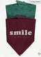 George Pack of 2 Bibs