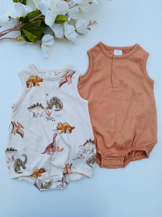 Next Pack of 2 Dino Rompers