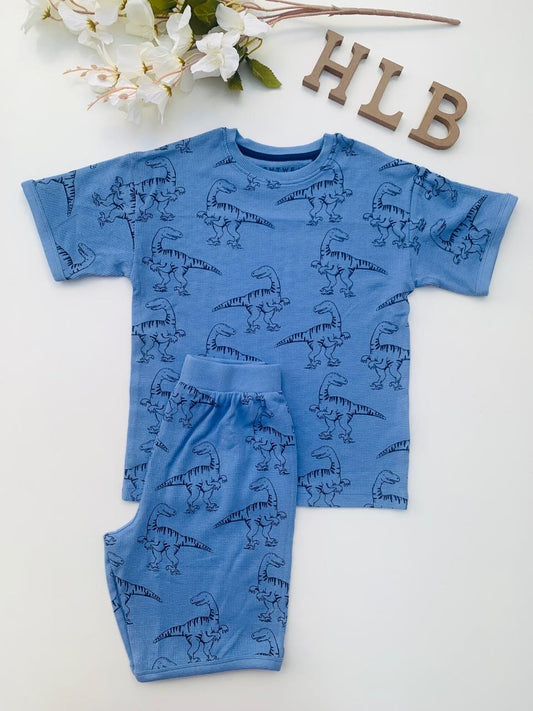 Next Dino Shirt & Shorts Set