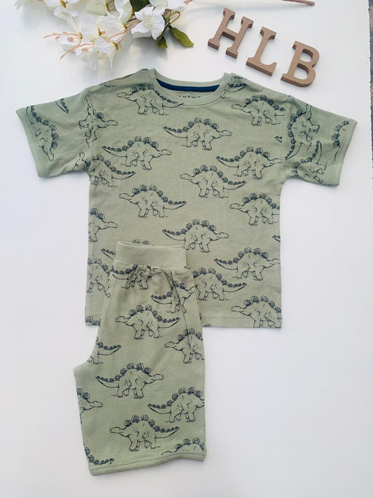 Next Dino Shirt & Shorts Set