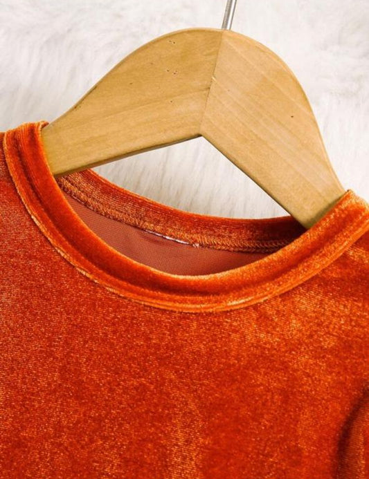 Shein Velour Frock