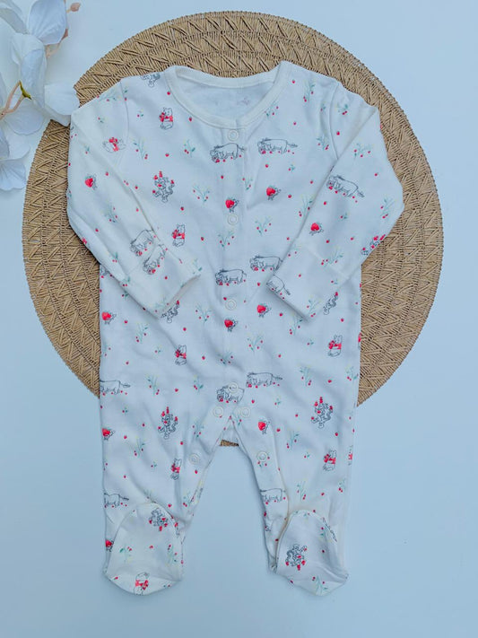 George Pooh Floral Sleepsuit