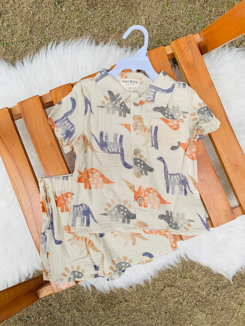 Dinosaur Print Shirt & Shorts Set