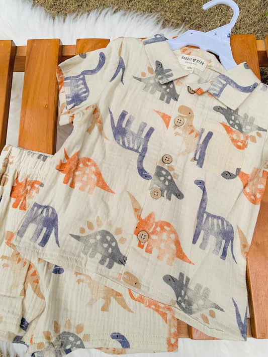 Dinosaur Print Shirt & Shorts Set