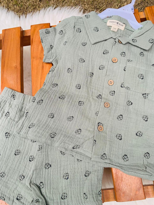 Ladybug Print Shirt & Shorts Set