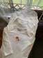 TU Clothing Pack of 4 Bodysuits