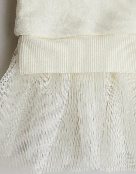 H&M Fleece Lined Sweatshirt Dress