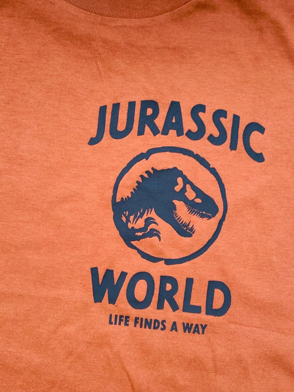 H&M  "Jurassic World" Shirt & Short